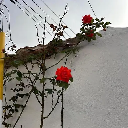 Villa Boutique Surf House In Surf Paradise *